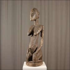80639) Statuina Fertilità