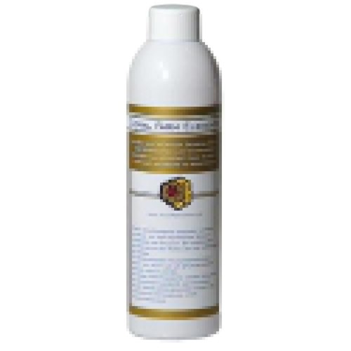Ricordea coral farm elements - ricordea,