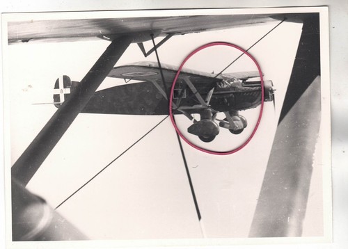 Repro foto - repro,