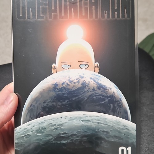 Viz media one punch - media,