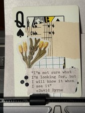 ACEO Plant David Byrne Mixed