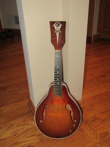 Kay mandolino elettrico - mandolino,