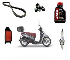 Tagliando Olio Cinghia Rulli