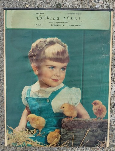 Insegna poster pubblicitario - insegna,