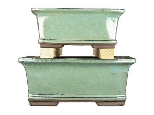 Vasi per bonsai - , rettangolari