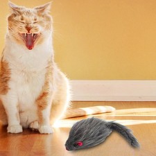 Giocattoli interattivi per