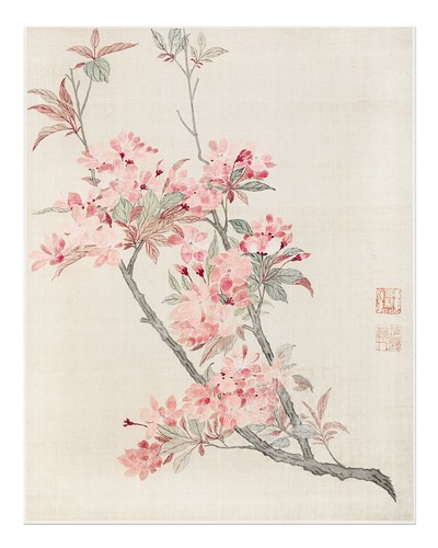 Elegante poster artistico - , da