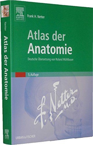 Netter atlas der anatomie - -,