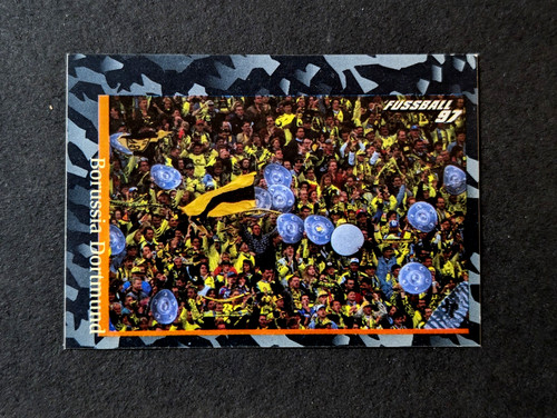 Borussia dortmund panini - borussia,