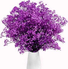 Gipizi Viola Gypsophila