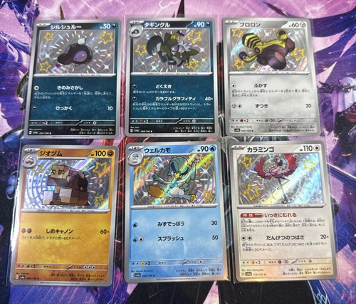 Pokémon tcg lotto baby - -,