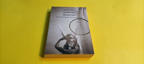 Angelo bona amore maestro - l'amore,