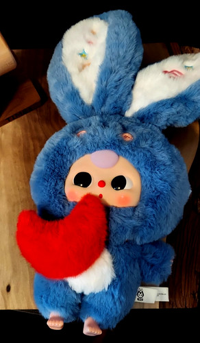 Baby three giglio rabbit - (bb3),