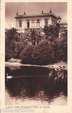 # ROMA: GIARDINO ZOOLOGICO DEL GOVERNATO DI ROMA-LAGO CON FENICOTTERI E CIGNI