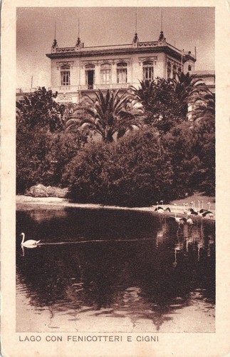Roma giardino zoologico del - giardino,