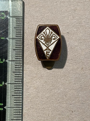 Fiorentina calcio pins - calcio,
