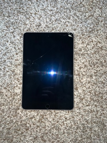 Apple ipad mini gb - 4,