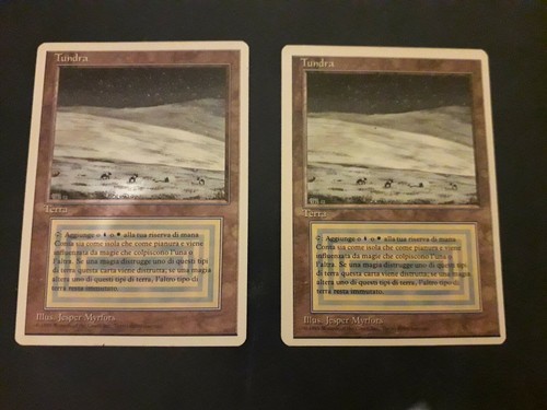 Mtg magic tundra - magic🐷, tundra🐷