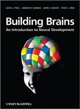 Building brains an - building,