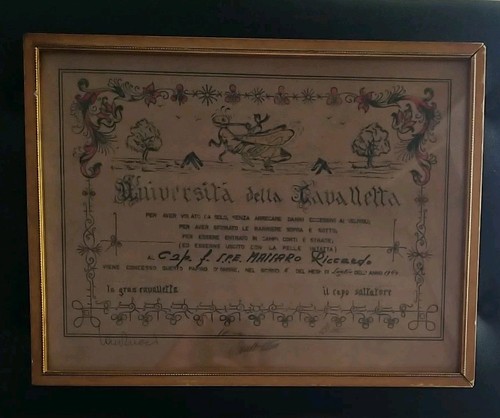 Diploma goliardico università - diploma,