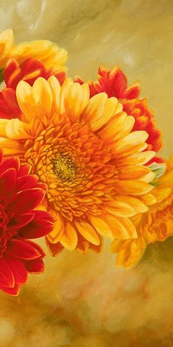 Quadro fiori gerbere nel sole - quadro,