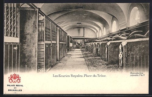 Cpa bruxelles palais royal - cpa, bruxelles,
