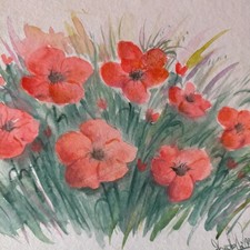 Acquerello Fausto Rizzo Dipinto Carta Papaveri Mazzo fiori Vintage Natura asta