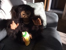 Pelliccia Real Friends Coccola