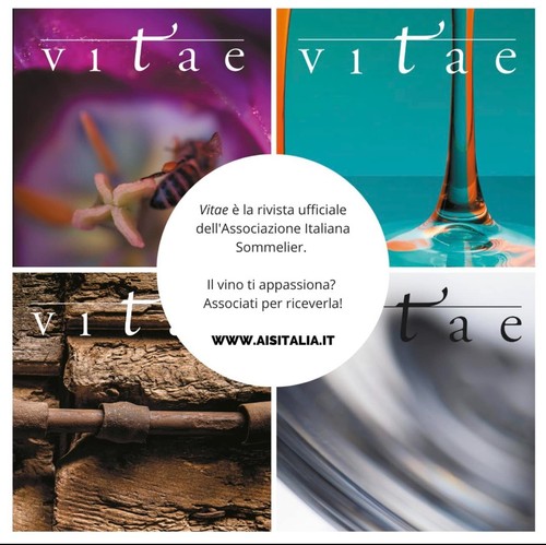 Vitae riviste ais nuove - vitae,
