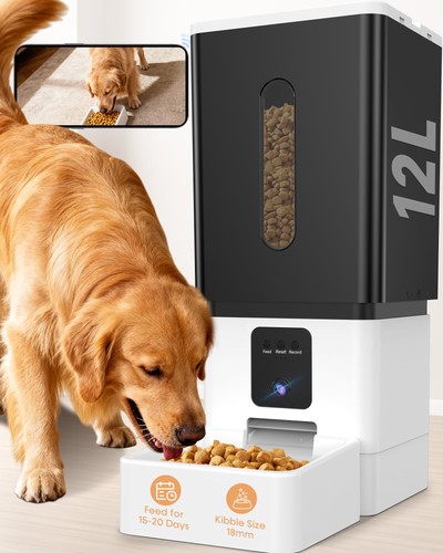 Mangiatoia automatica per cani