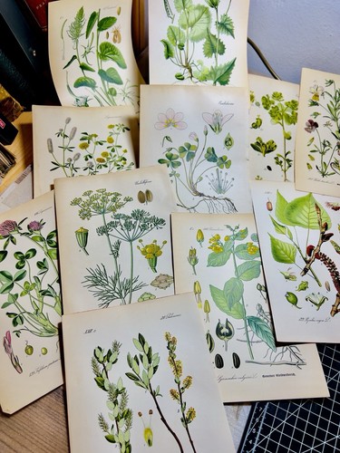 Set illustrazioni - 3,