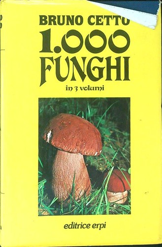 1000 funghi volume betto - 1000,