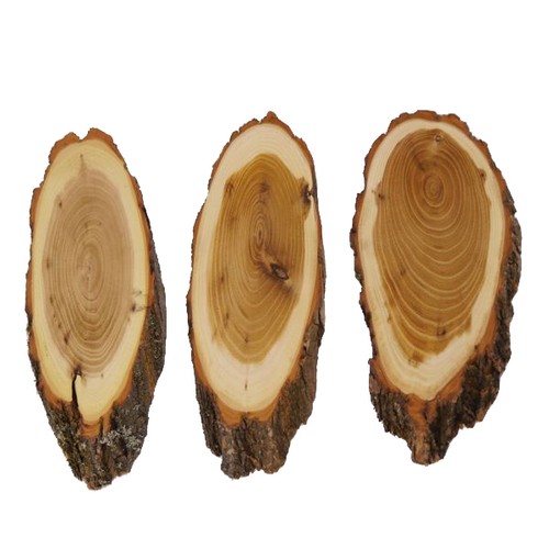Pezzi acacia piastre trofeo - pezzi,
