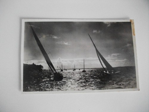 Regata barche vela - barche, a