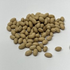 Confezione Semi Bonsai Di