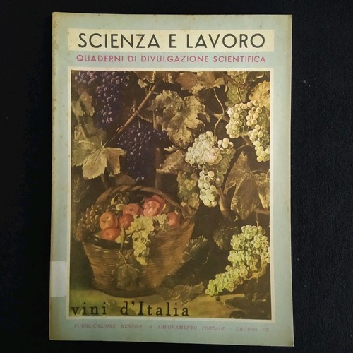 Vincenzo carocci buzi - vincenzo,