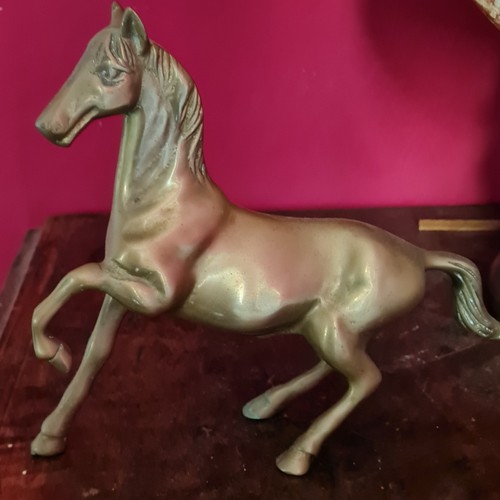 Cavallo bronzo epoca - bronzo, d'epoca