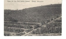 PESARO VIGNA DEL CAV. DOTT. RUTILIO GENNARI (RONCAGLIA) CARTOLINA FP VG 1914