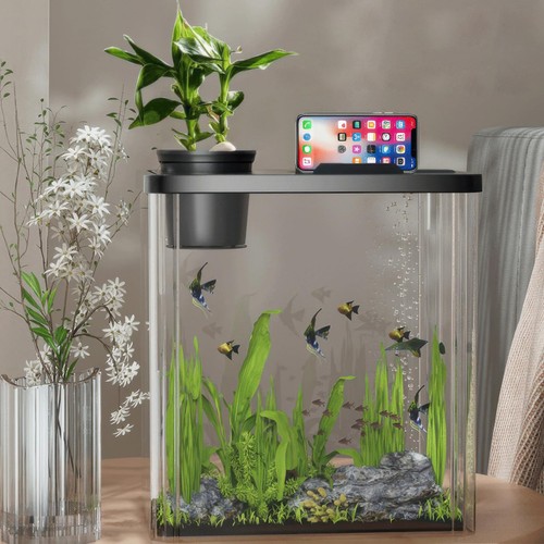 Fish tank betta - fish,