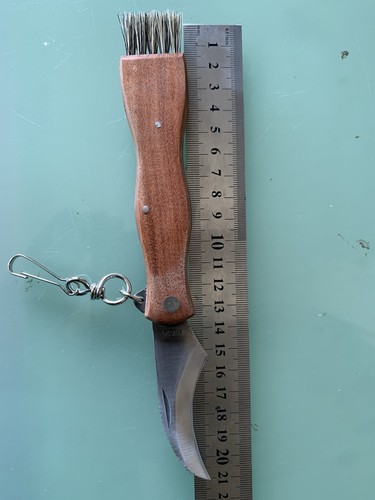 Coltello funghi micologico - coltello,