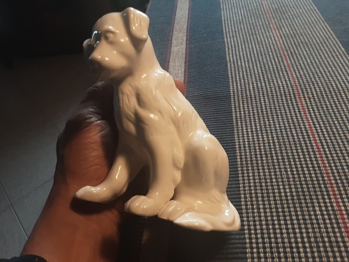 Bellissimo cane porcellana - bellissimo, in
