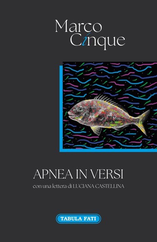 Libro nuovo marco - nuovo,