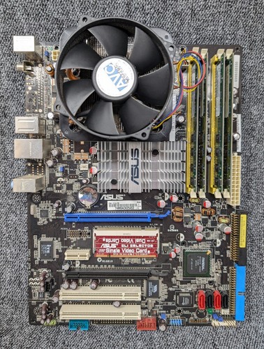Scheda madre asus - scheda,