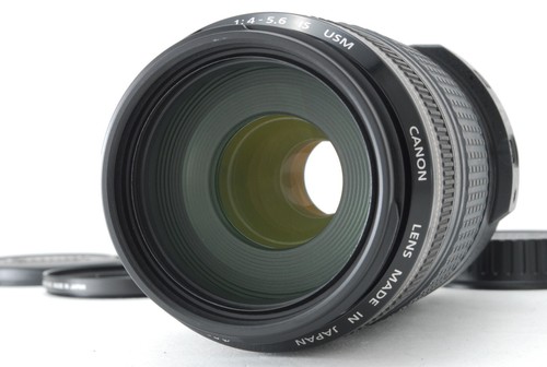 Canon 300 4 - ef, f/4-5.6
