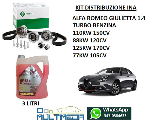Kit distribuzione ina - distribuzione,