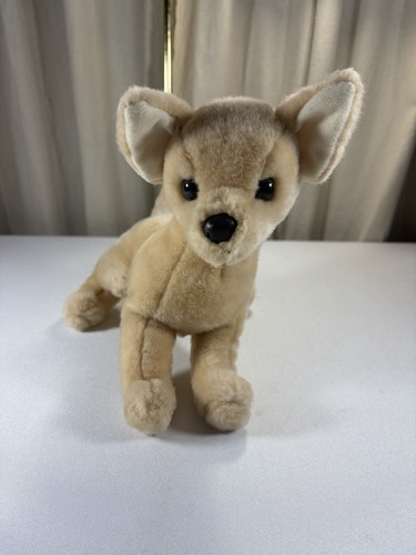Douglas chihuahua ole 1935 1 - "ole", 1935.1