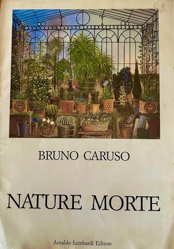 Bruno caruso nature morte - bruno,