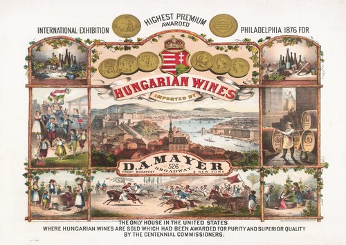 Arte murale del vino - , ungherese