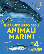 Libroni Usborne - Il Grande