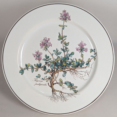 Villeroy boch botanica - &,